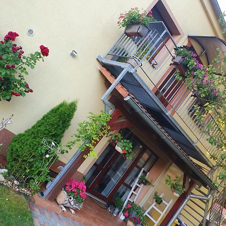 Ubytovani U Spacku Palava Novosedly  Dış mekan fotoğraf