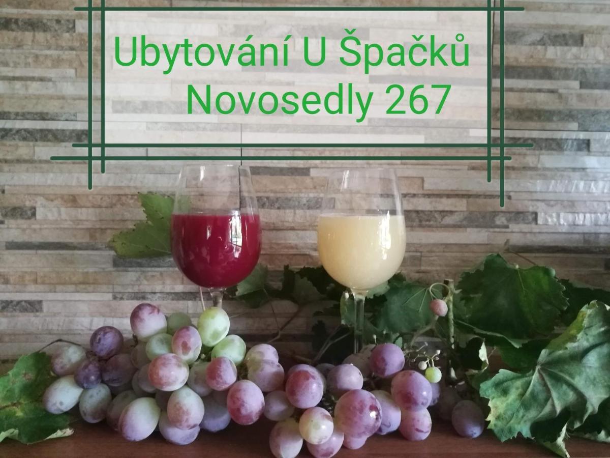 Ubytovani U Spacku Palava Novosedly  Dış mekan fotoğraf