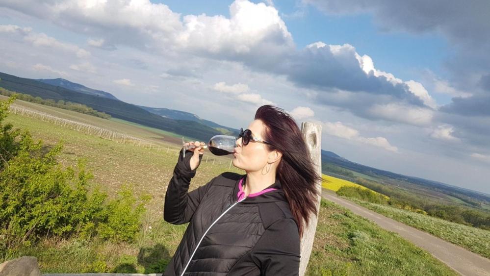 Ubytovani U Spacku Palava Novosedly  Dış mekan fotoğraf