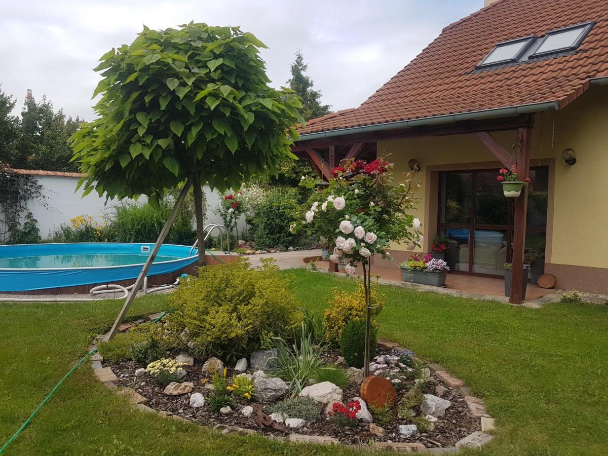 Ubytovani U Spacku Palava Novosedly  Dış mekan fotoğraf