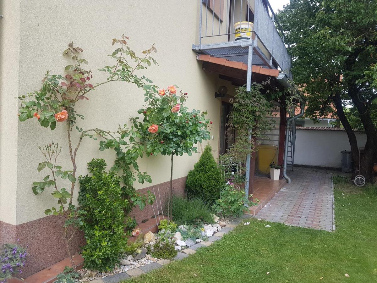 Ubytovani U Spacku Palava Novosedly  Dış mekan fotoğraf