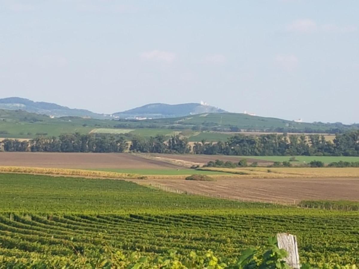 Ubytovani U Spacku Palava Novosedly  Dış mekan fotoğraf