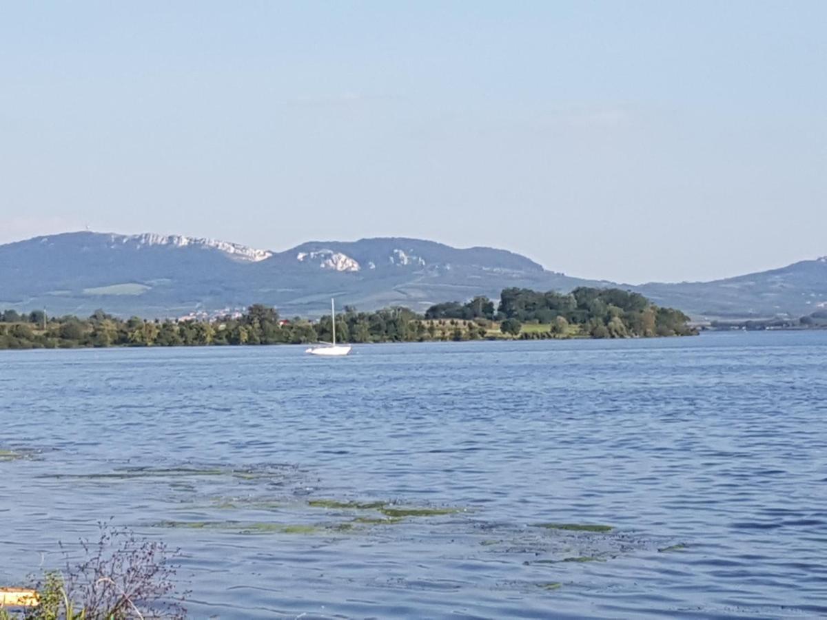 Ubytovani U Spacku Palava Novosedly  Dış mekan fotoğraf