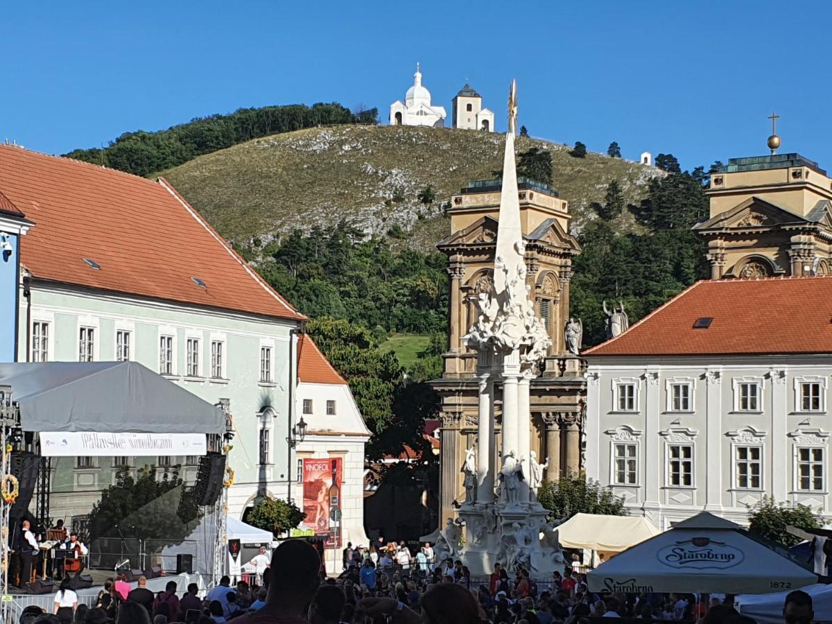 Ubytovani U Spacku Palava Novosedly  Dış mekan fotoğraf